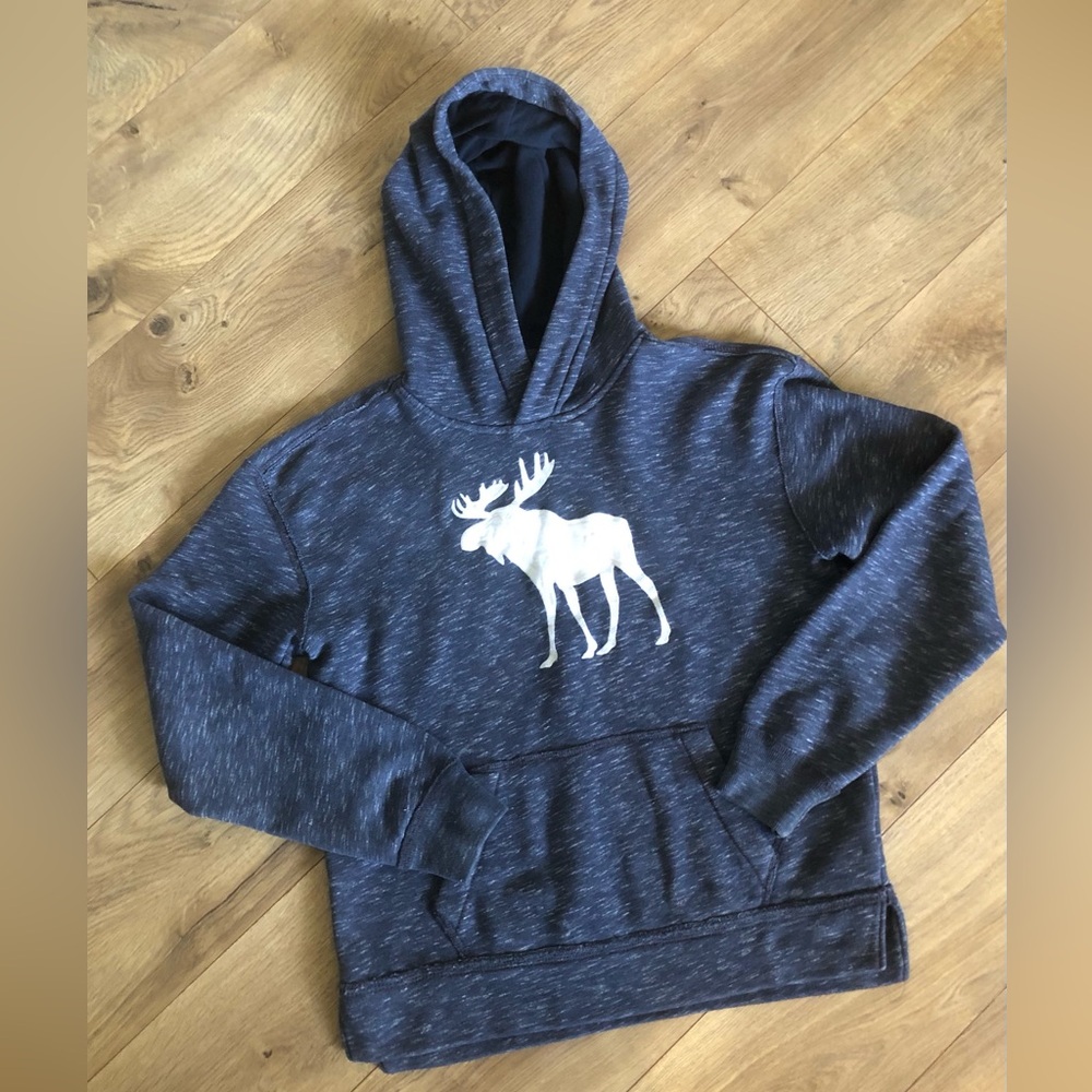 Abercrombie Kids hooded sweatshirt, size 13/14 kids.